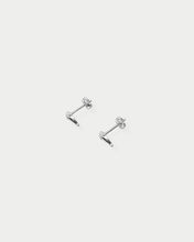 Load image into Gallery viewer, OOO Dolphin SS Earrings Silver