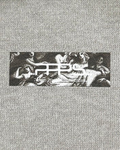 将图片加载到图库查看器，PLASMA SPHERE Dazzle T-Shirt Grey
