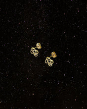 Load image into Gallery viewer, OOO Flower Earrings
