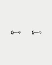 Load image into Gallery viewer, OOO Roses SS Earrings Silver
