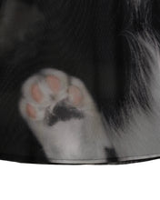 Load image into Gallery viewer, Acceptance Letter Feline Whisper Dress
