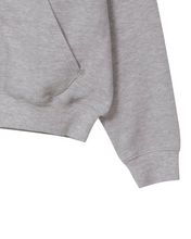Load image into Gallery viewer, Adlielos Born To Burn Cover Zip-Up Hoodie Melange Grey
